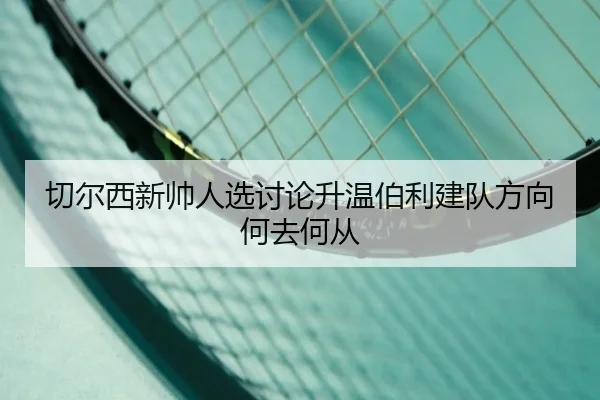 切尔西新帅人选讨论升温伯利建队方向何去何从