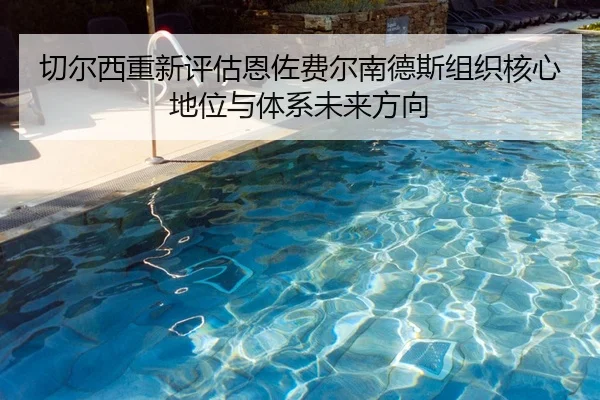 切尔西重新评估恩佐费尔南德斯组织核心地位与体系未来方向